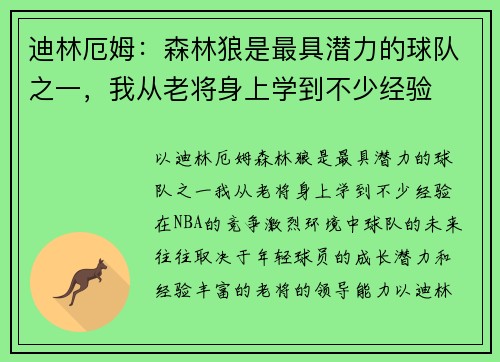 迪林厄姆:森林狼是最具潜力的球队之一,我从老将身上学到不少经验