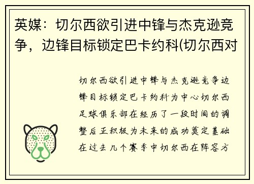 英媒：切尔西欲引进中锋与杰克逊竞争，边锋目标锁定巴卡约科(切尔西对标)